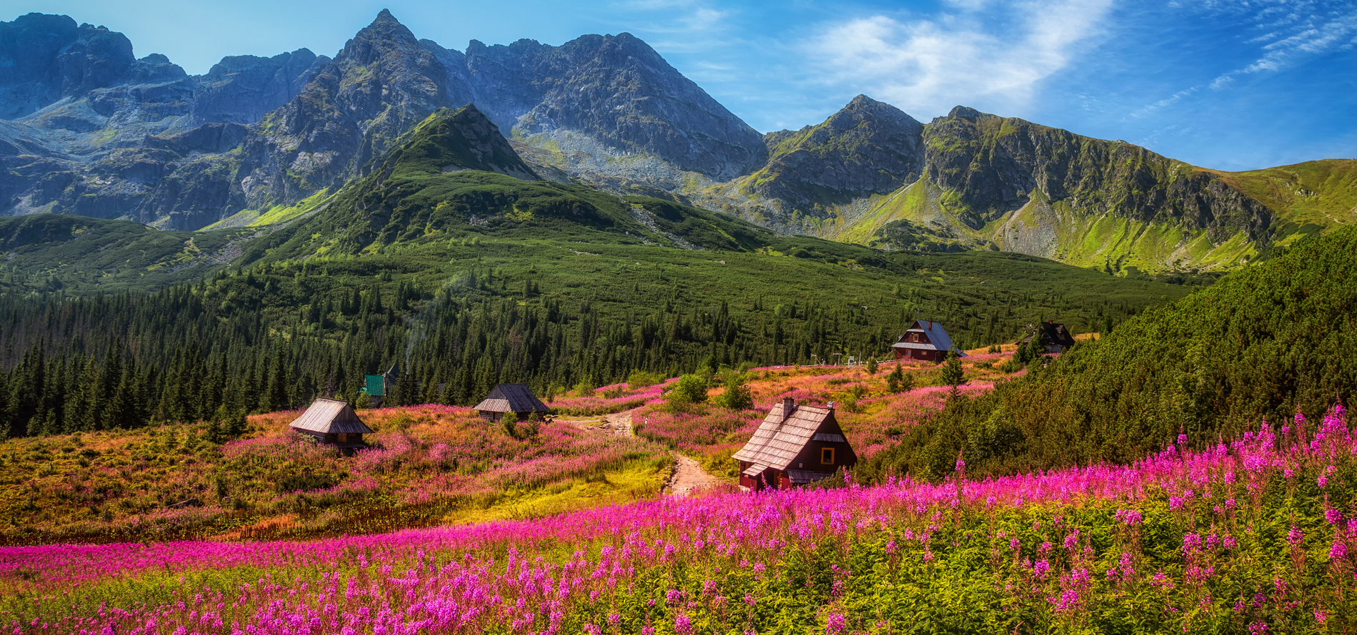 eco travel polska